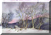 winter-trees.jpg (59816 bytes)